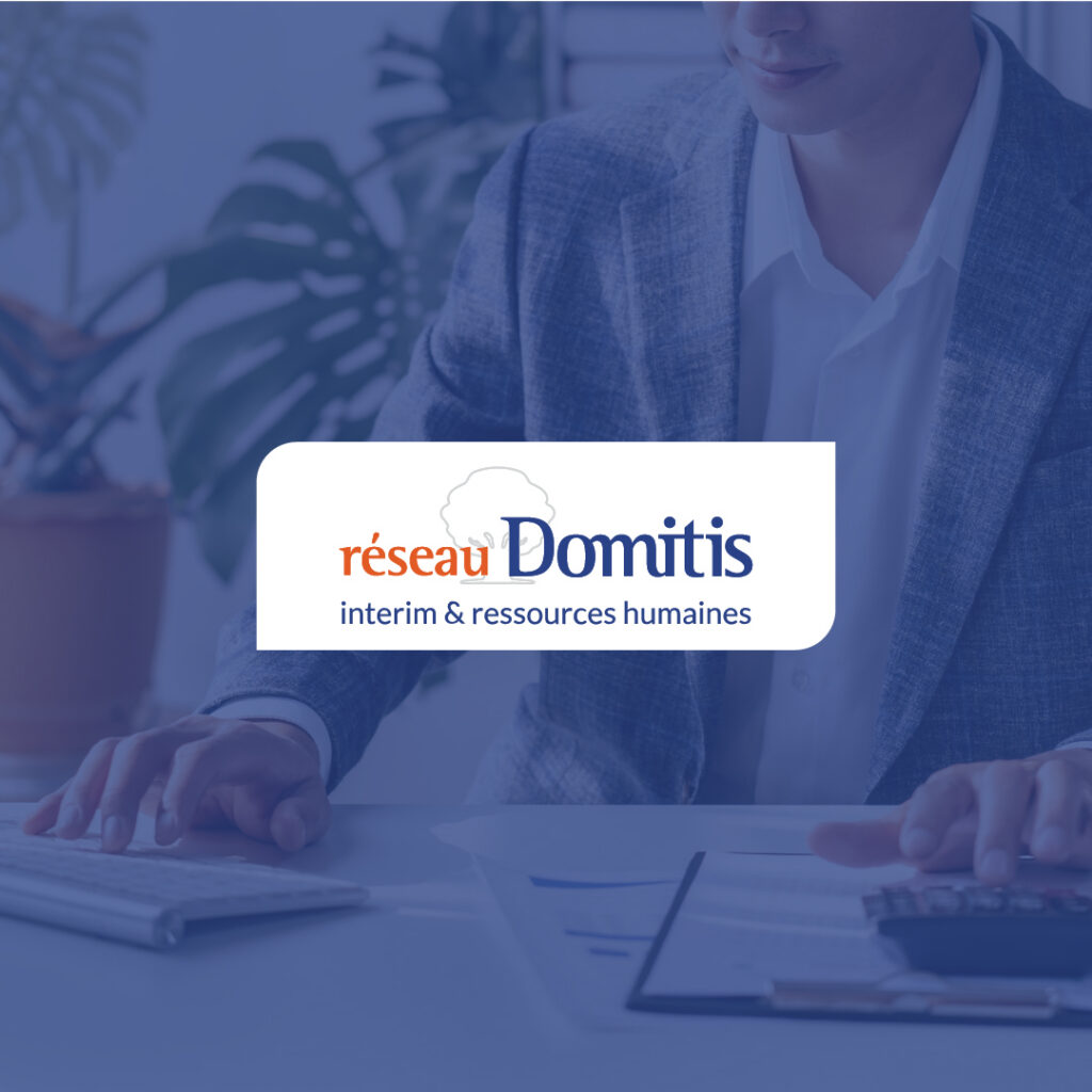 Logo du réseau Domitis intérim et ressources humaines