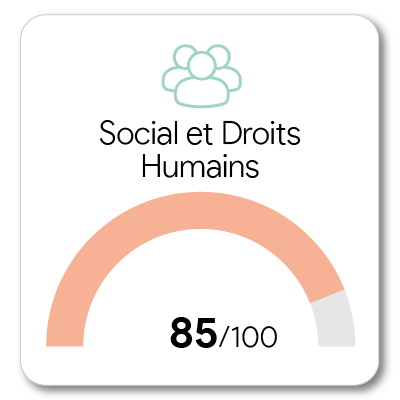 Optineris_ecovadis_platinum_label_RSE-30